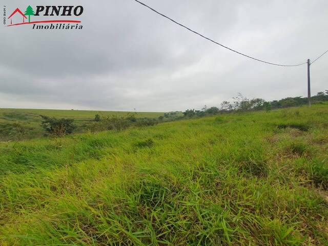 Terreno para Venda em São Pedro - 5