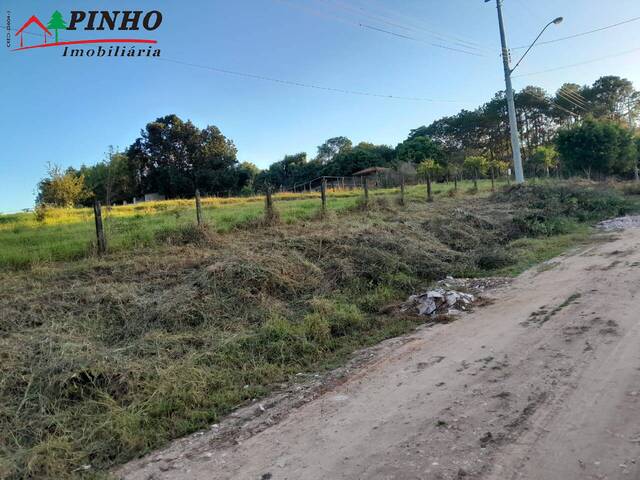 Terreno para Venda em São Pedro - 1