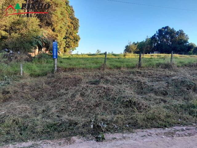 Terreno para Venda em São Pedro - 2