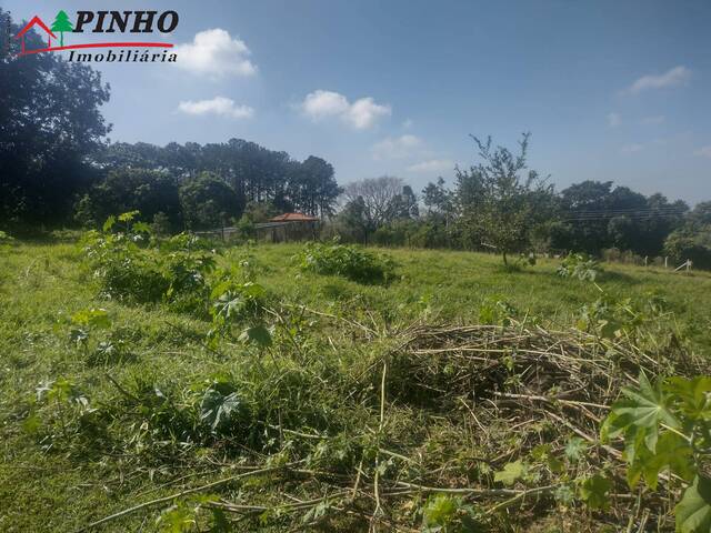 Terreno para Venda em São Pedro - 3