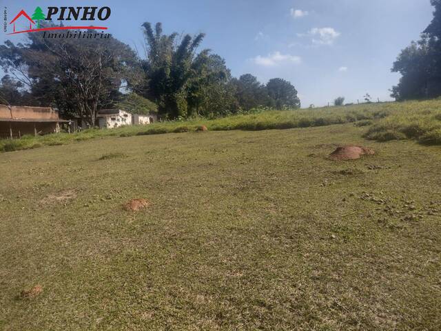 Terreno para Venda em São Pedro - 5