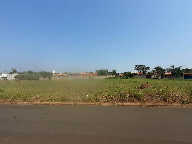 Terreno para Venda em São Pedro - 2