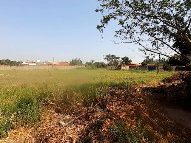 Terreno para Venda em São Pedro - 5