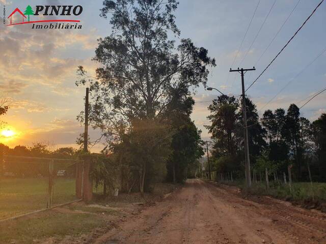 Terreno para Venda em São Pedro - 1