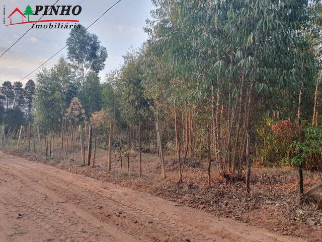 Terreno para Venda em São Pedro - 2