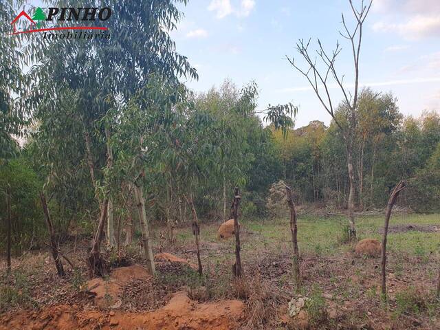 Terreno para Venda em São Pedro - 4