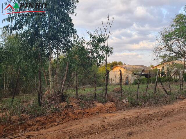 Terreno para Venda em São Pedro - 5