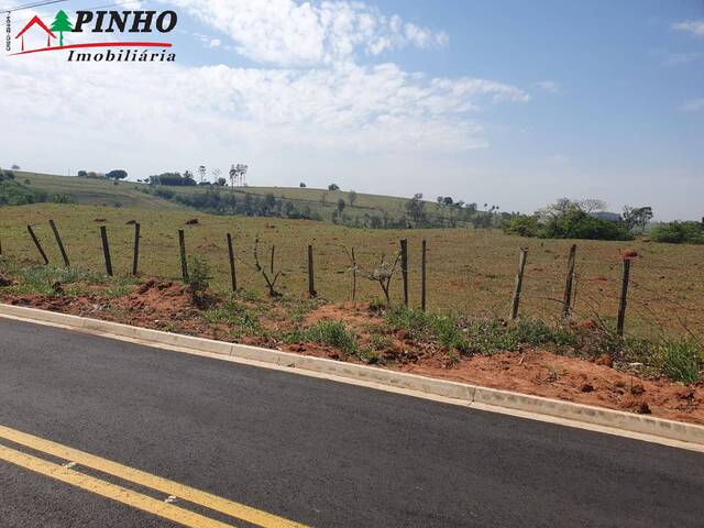 Terreno para Venda em São Pedro - 5