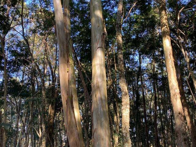 Venda em PORTAL DA SERRA - São Pedro