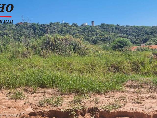 #TE1476 - Terreno para Venda em São Pedro - SP