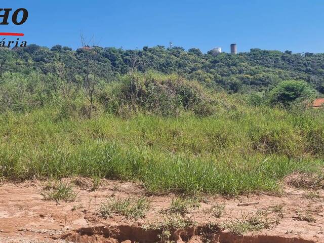 Terreno para Venda em São Pedro - 4