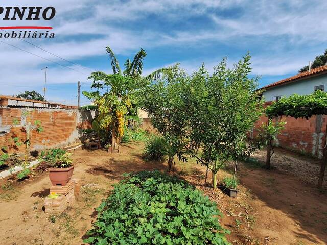 Edícula para Venda em Santa Maria da Serra - 3