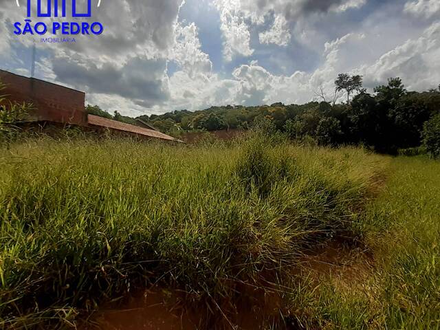 Terreno para Venda em São Pedro - 5