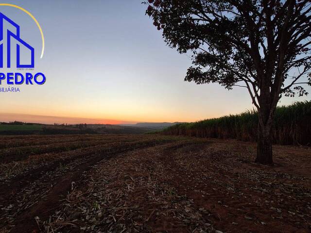 #si1499 - Sítio para Venda em São Pedro - SP - 1