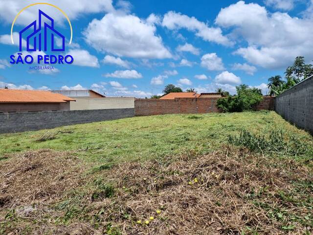 Terreno para Venda em São Pedro - 3