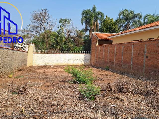 Terreno para Venda em São Pedro - 1