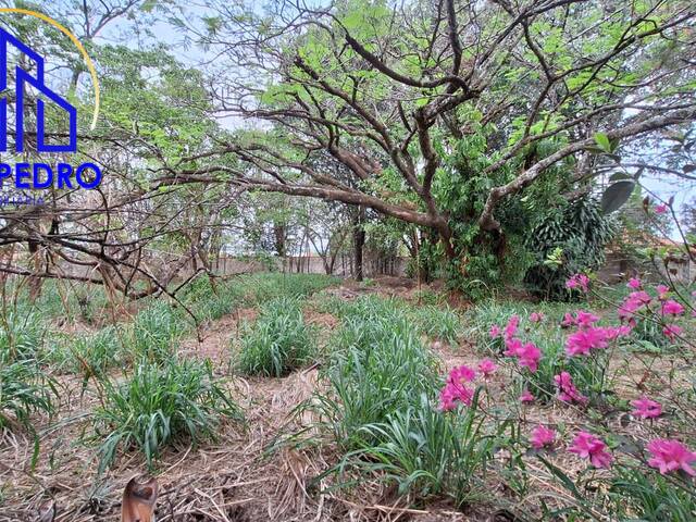 Terreno para Venda em São Pedro - 5