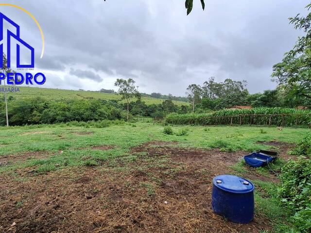 CHACARA para Venda em São Pedro - 3