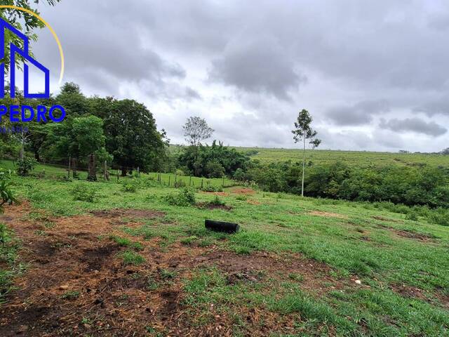 CHACARA para Venda em São Pedro - 5