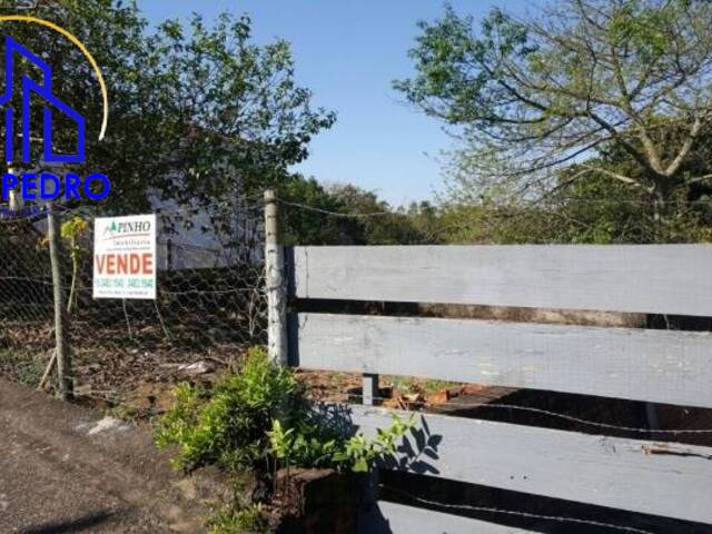 Terreno para Venda em São Pedro - 2