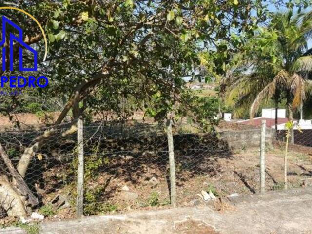 Terreno para Venda em São Pedro - 3