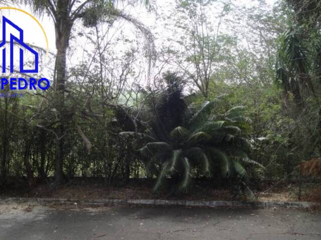 Terreno para Venda em São Pedro - 3