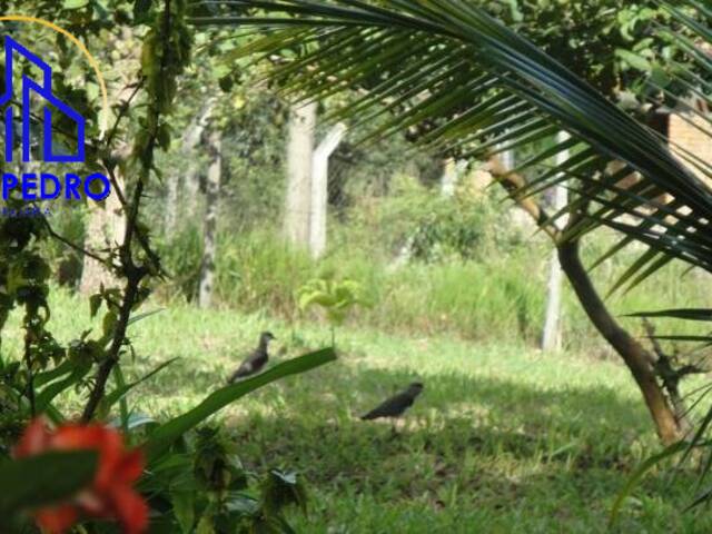 Chácara para Venda em São Pedro - 4