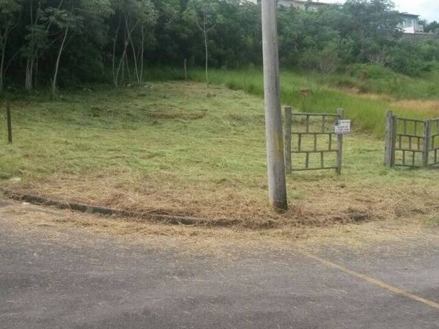 Terreno para Venda em São Pedro - 2