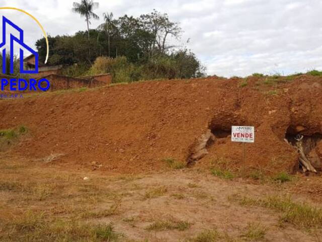 Terreno para Venda em São Pedro - 2