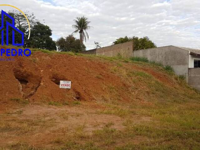 Terreno para Venda em São Pedro - 1