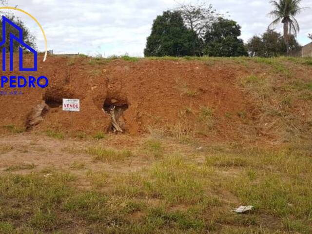 Terreno para Venda em São Pedro - 4