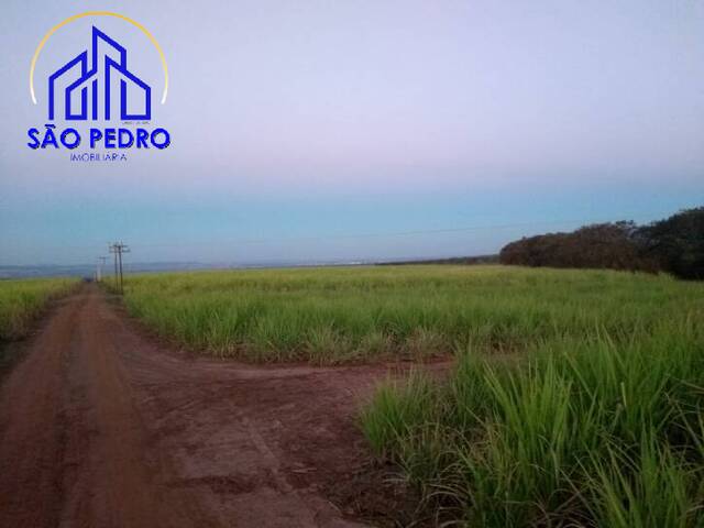 #fa78 - Fazenda para Venda em São Pedro - SP - 1