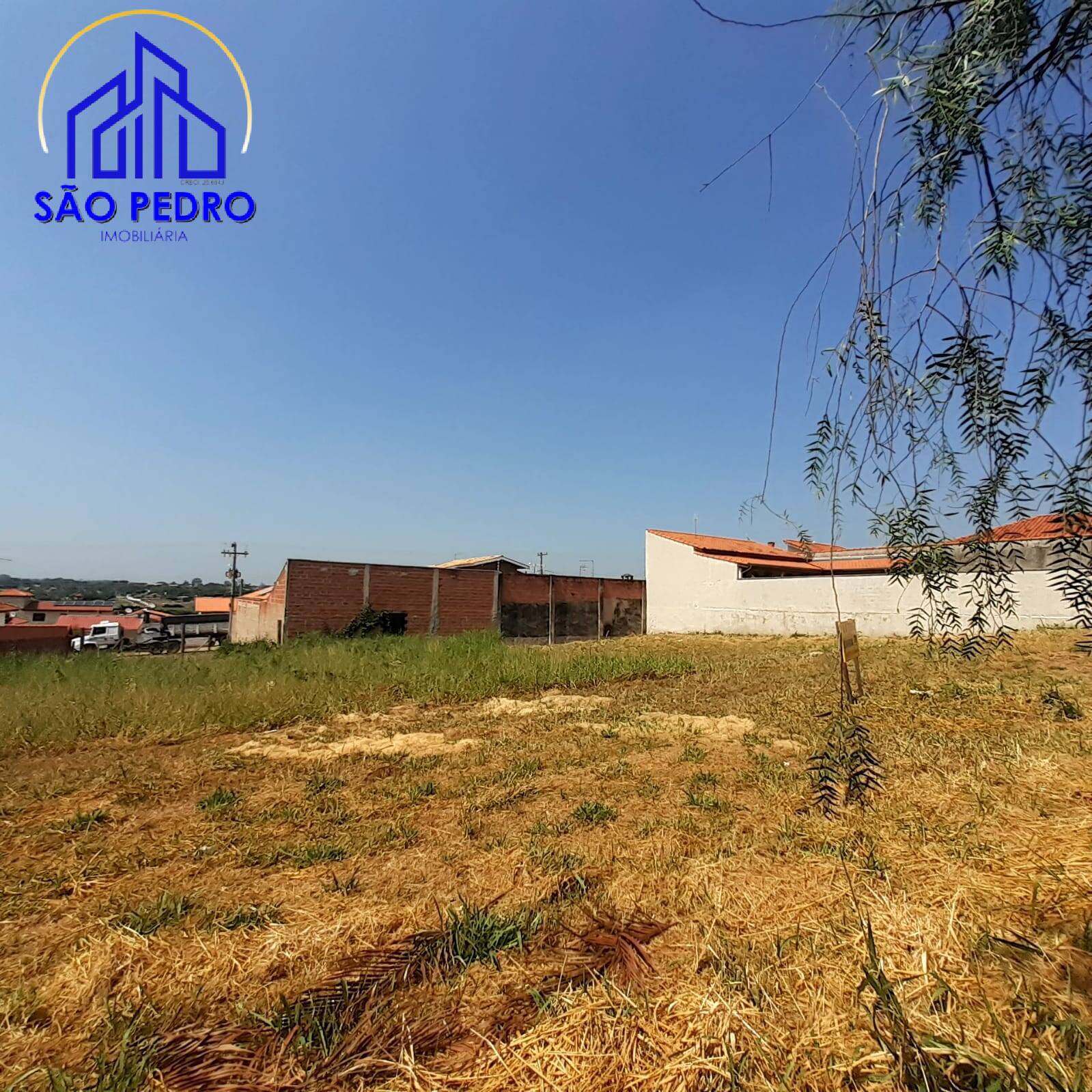 Terreno à venda, 260m² - Foto 3