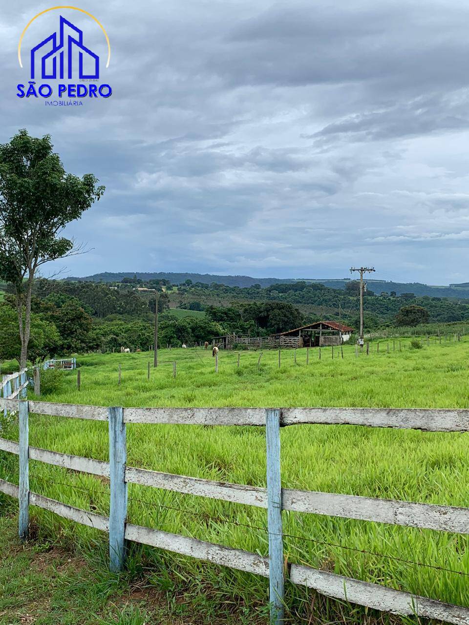 Fazenda à venda com 3 quartos, 2m² - Foto 10