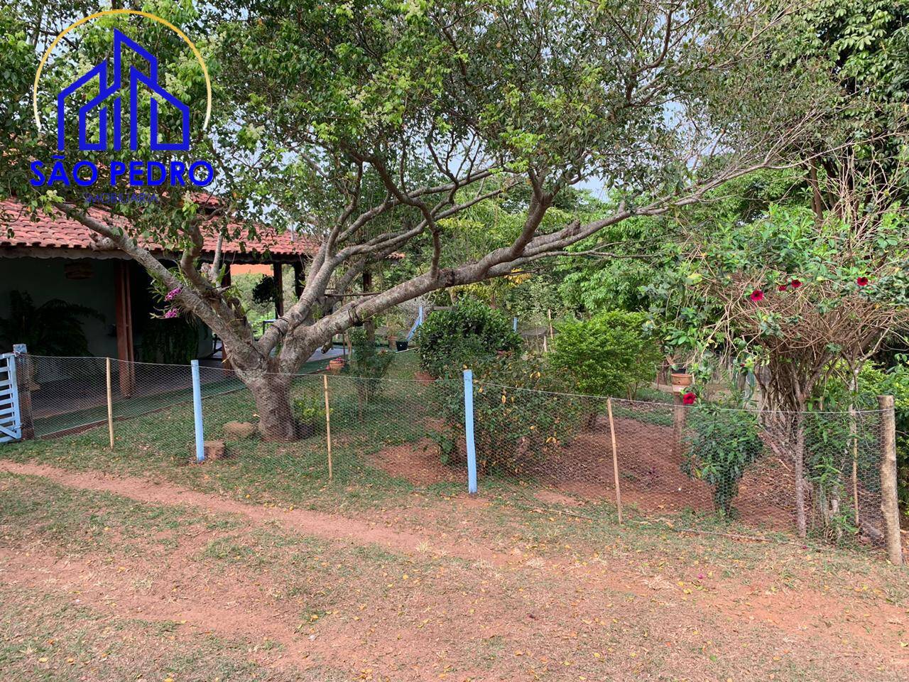 Fazenda à venda com 3 quartos, 2m² - Foto 16