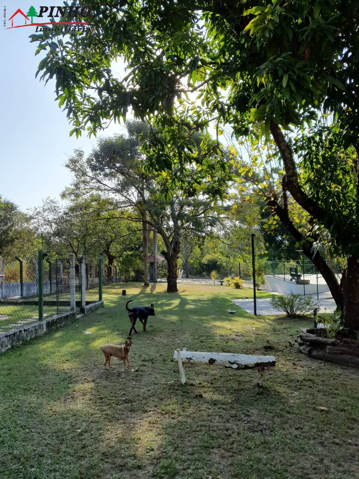 Casa à venda com 10 quartos, 10000m² - Foto 38