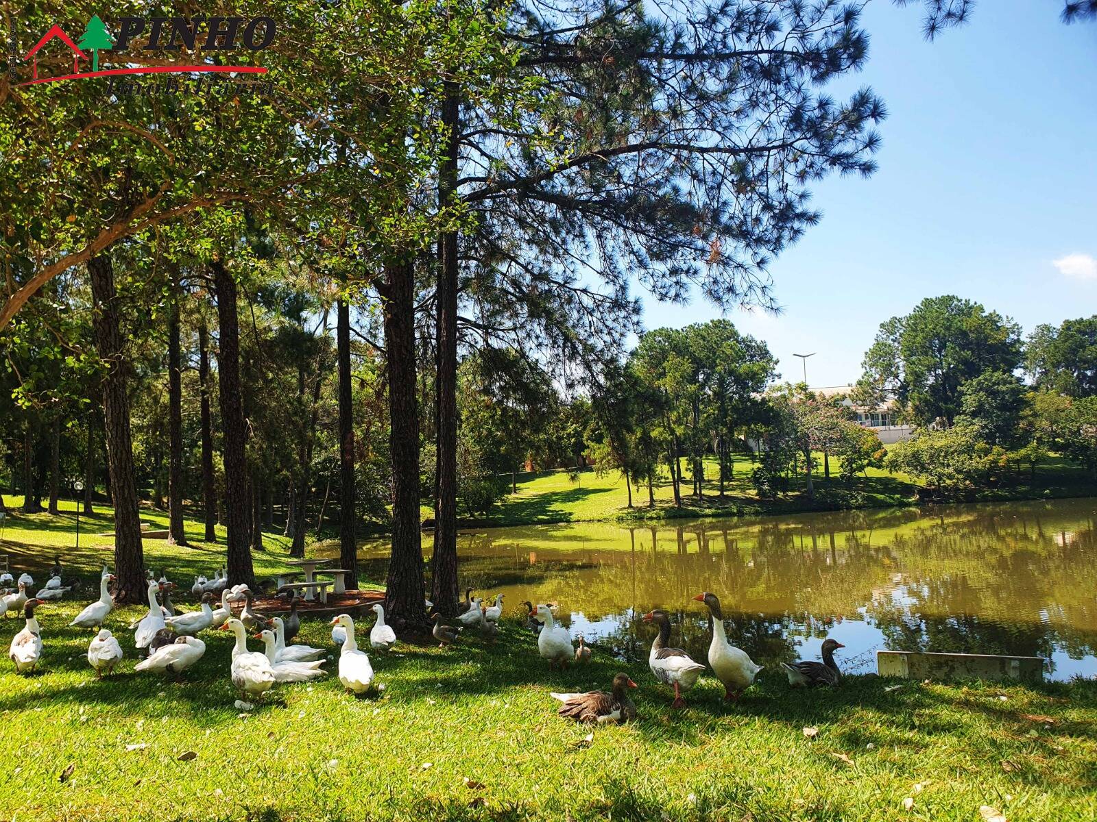 Terreno à venda, 1000m² - Foto 16