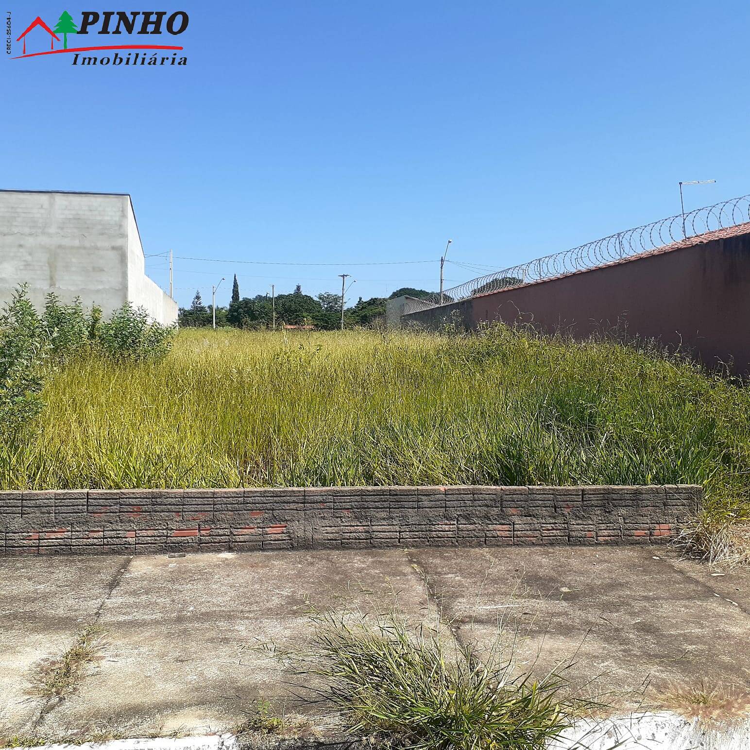 Terreno à venda, 250m² - Foto 4