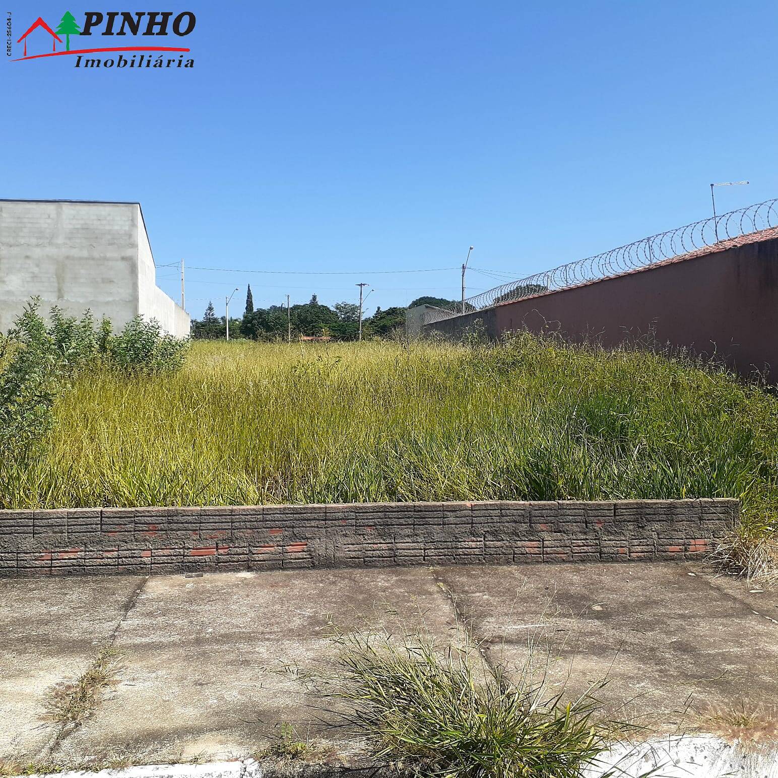 Terreno à venda, 250m² - Foto 5