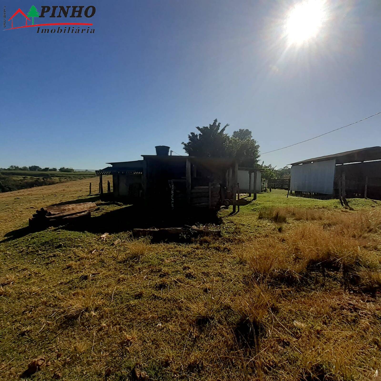 Fazenda à venda com 3 quartos, 19m² - Foto 40