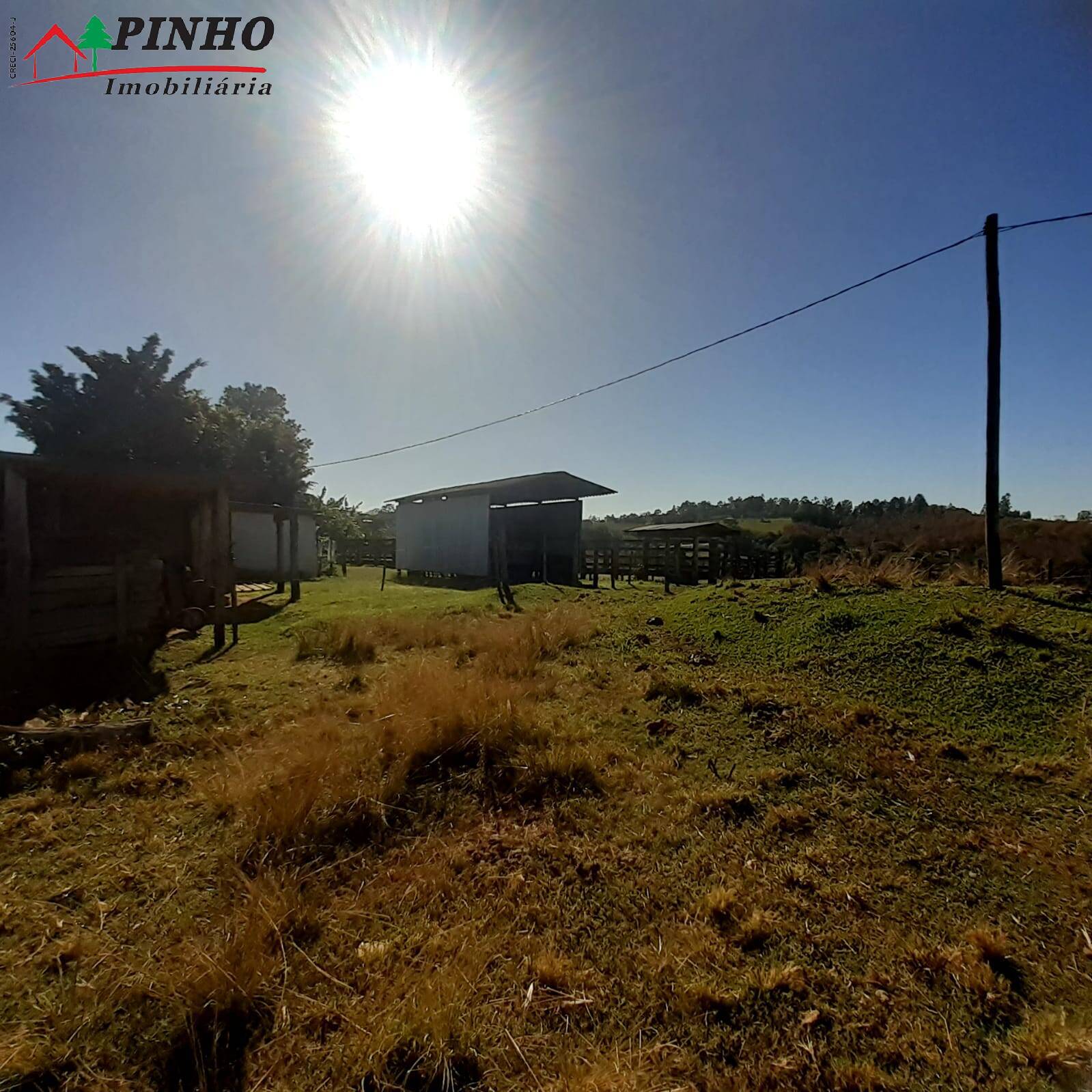 Fazenda à venda com 3 quartos, 19m² - Foto 41