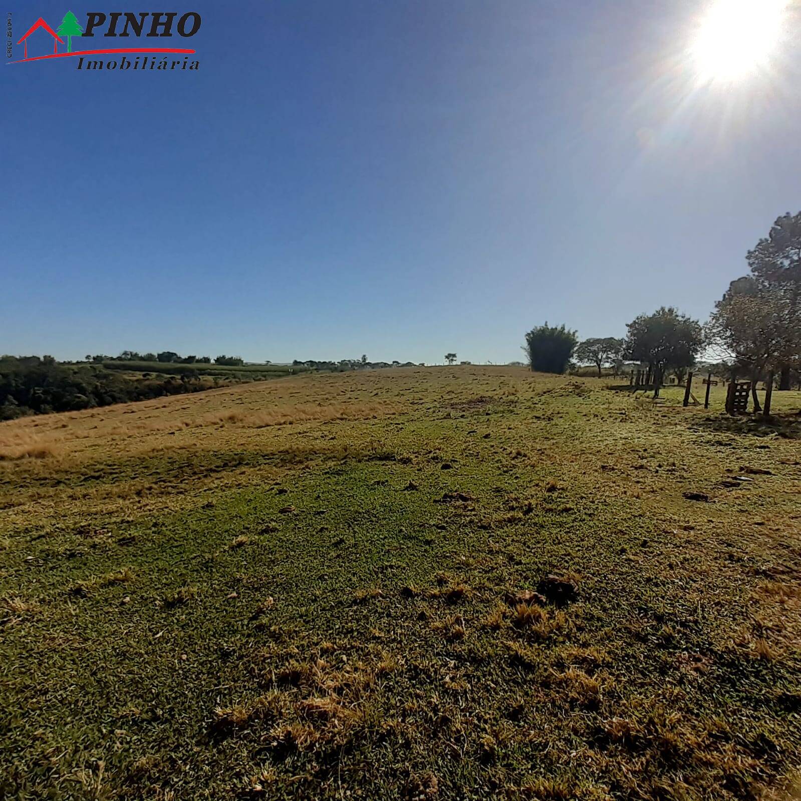 Fazenda à venda com 3 quartos, 19m² - Foto 43