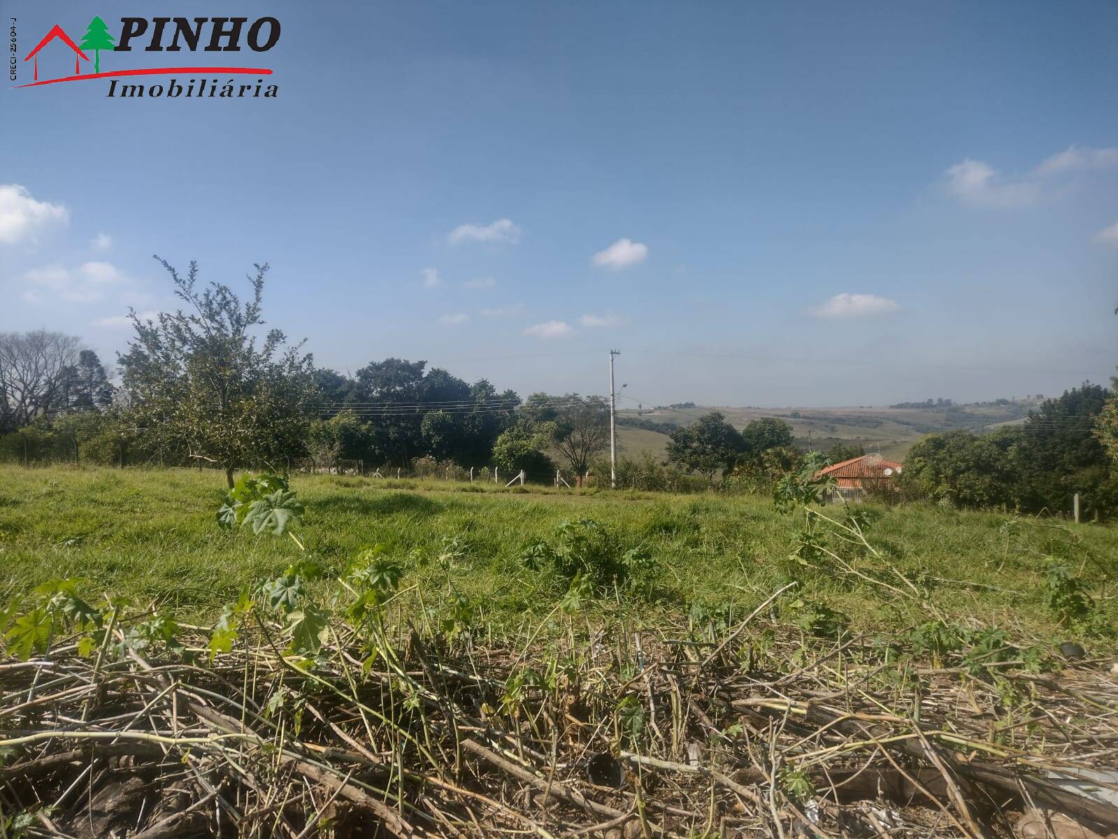 Terreno à venda, 5000m² - Foto 4