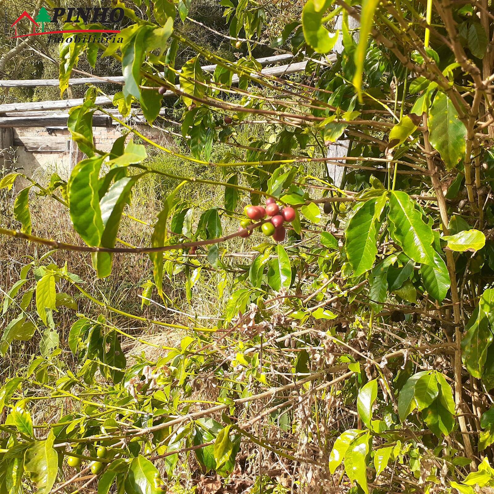 Terreno à venda, 6m² - Foto 4