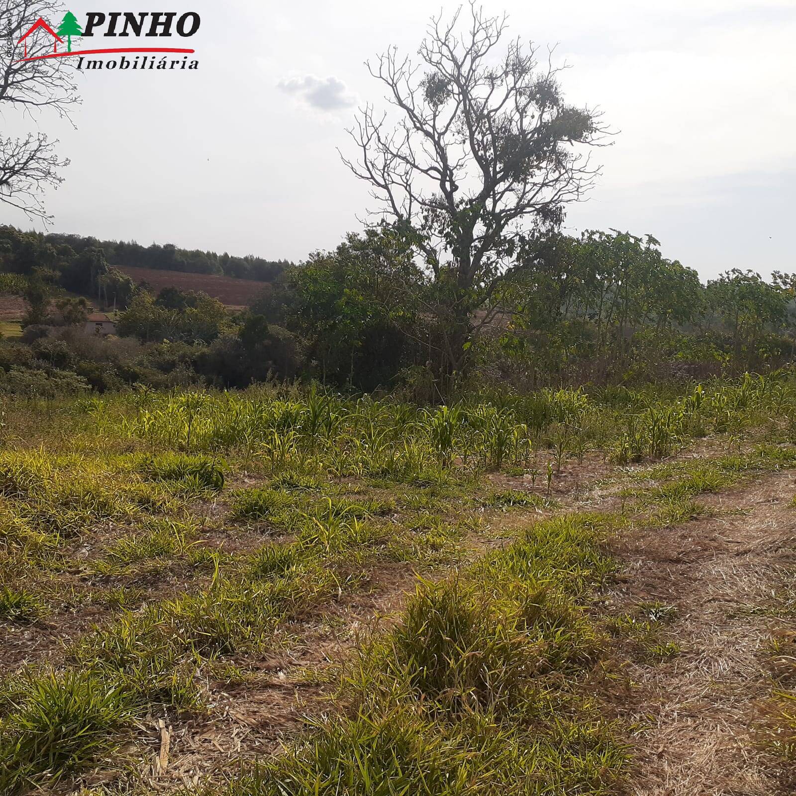 Terreno à venda, 6m² - Foto 13