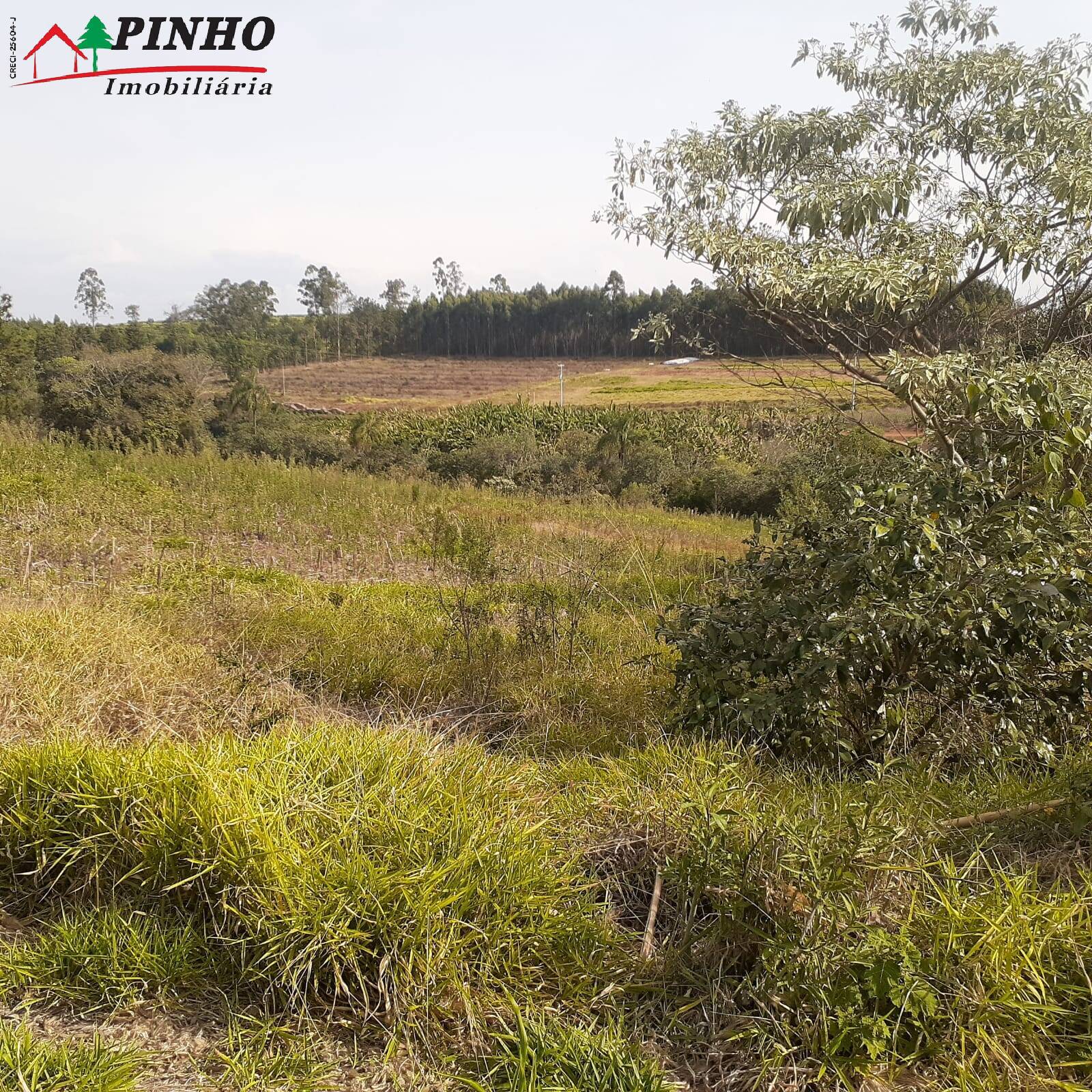 Terreno à venda, 6m² - Foto 15