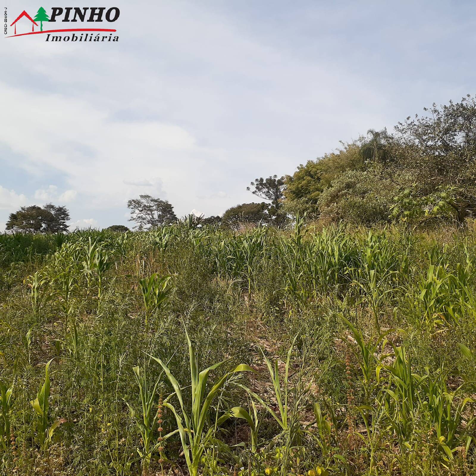 Terreno à venda, 6m² - Foto 17