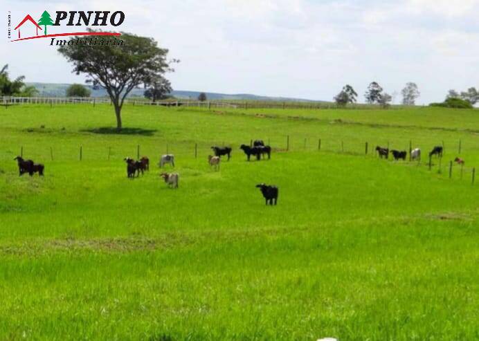 Fazenda à venda com 16 quartos, 163m² - Foto 6