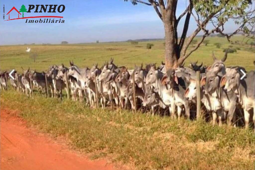 Fazenda à venda com 16 quartos, 163m² - Foto 5