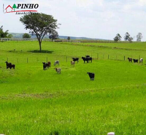 Fazenda à venda com 16 quartos, 163m² - Foto 13